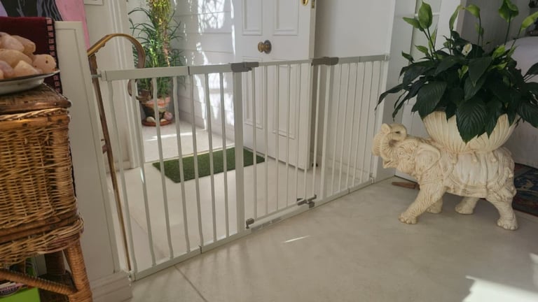 White metal safety gate in kitchen with cream-colored dog standing beside it near houseplants and wicker basket